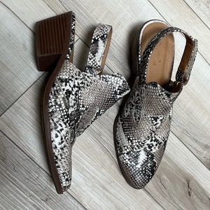 Crocodile Booties Size 7.5